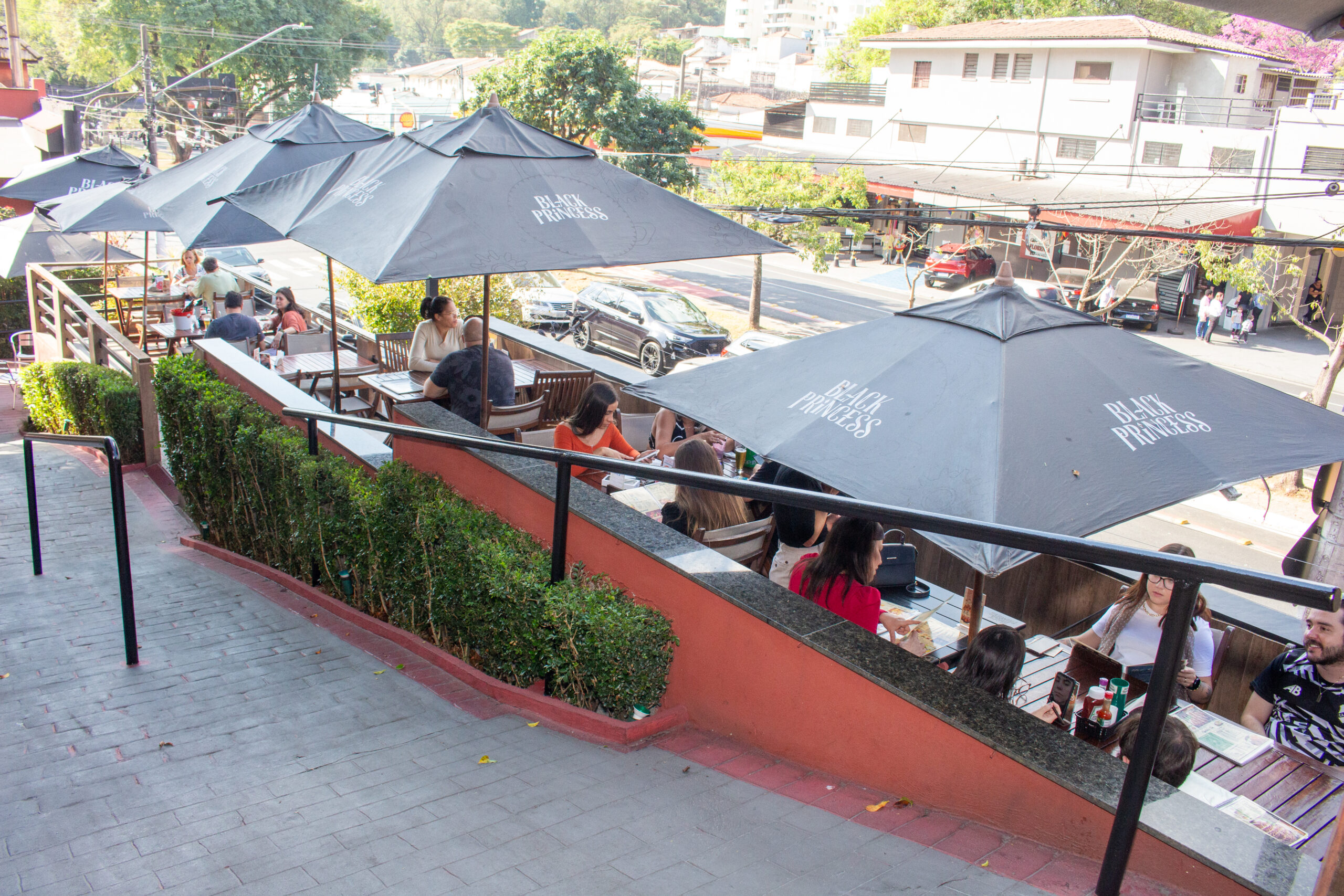 Deck Pet e Rua